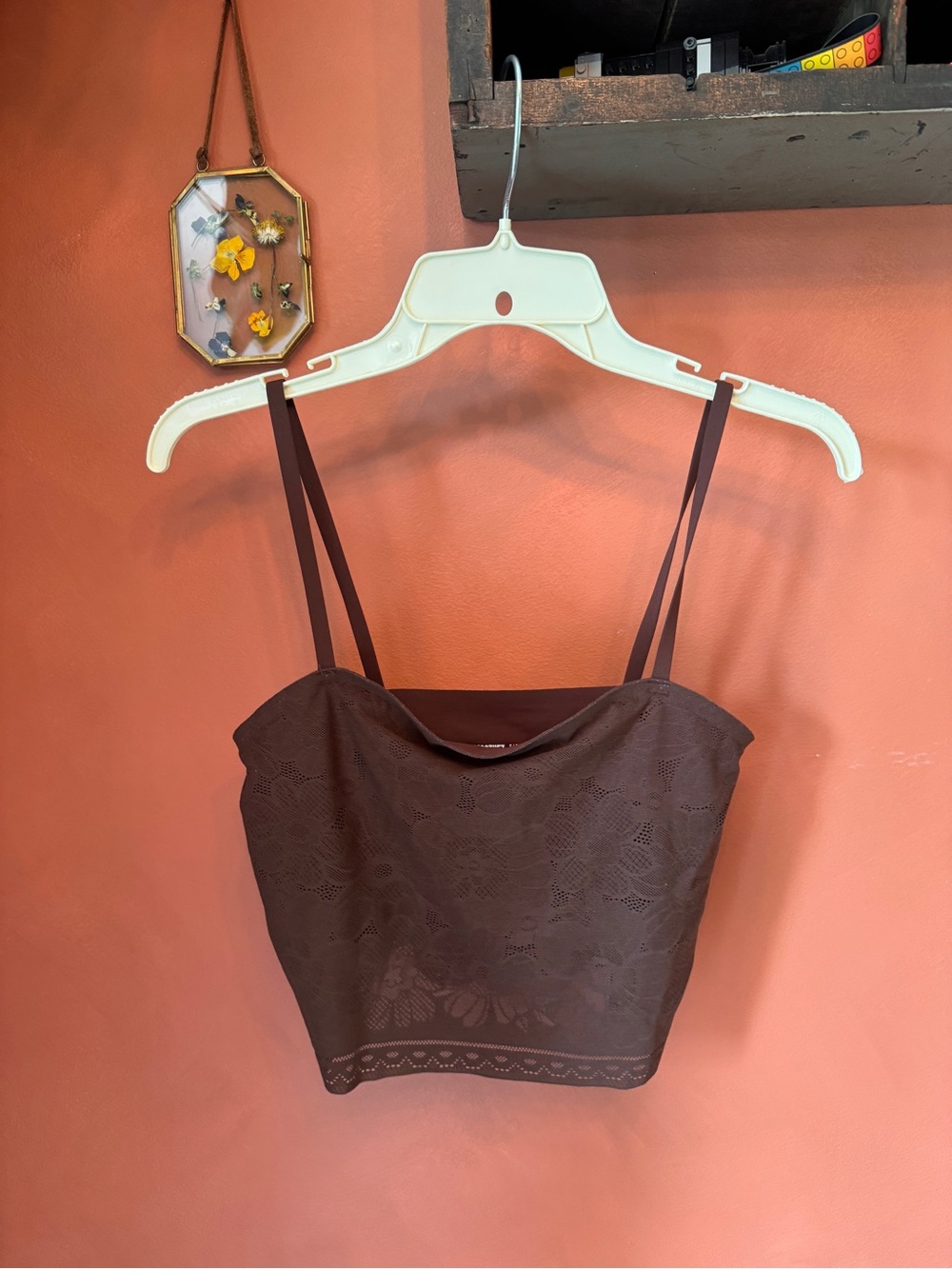 aerie Brown Lace Cropped Cami